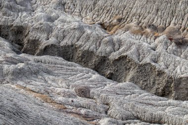 Küçük Boyalı Çöl Detayları - Arizona - Mart 2021
