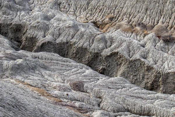 Küçük Boyalı Çöl Detayları - Arizona - Mart 2021