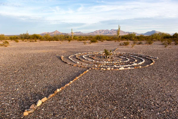 Desert Spiral - Sonoran Desert, Arizona - December 2021