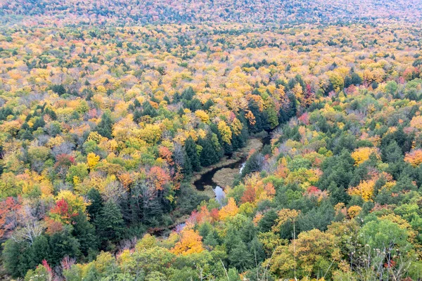 Fall Color - Porcupine Mountains, Michigan