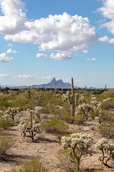 Mississippi Nehri Sonbaharı - Maiden Rock, Wisconsin - Ekim 2022