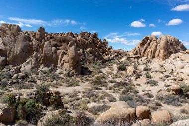 Kale Yolu Jumbo Kayalıkları - Joshua Tree, California - Mart 2022