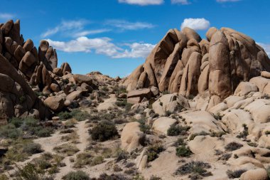 Kale Jumbo Kayaları - Joshua Tree, California - Mart 2022