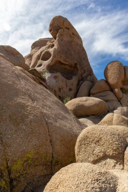 Dev Kayaları Çekmek - Joshua Tree, California - Mart 2022