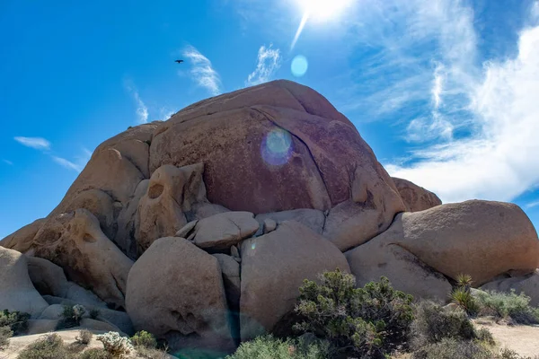 Kaya Uçuşu - Joshua Tree, California - Mart 2022