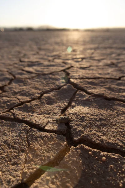 Çatlak Göl Yatağı Ayrıntısı