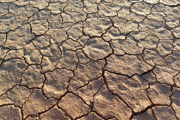 Sunfair, California 'da Joshua Tree yakınlarında kurumuş göl yatağı.
