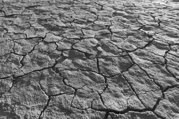 Sunfair California yakınlarında kuru monokrom göl yatağı 