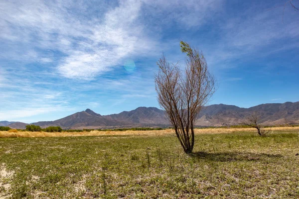 Rabbit Island Landscape - Lake Isabella, California