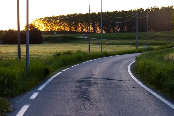 Landsbygdsväg Kornspannmålsfält Våren Högkvalitativt Foto — Stockfoto