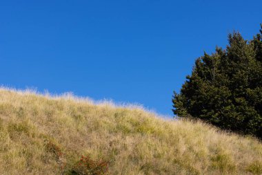 İtalya 'nın Parma ilindeki Toscano Emiliano Parkı dağ yolu manzarası. Yüksek kalite fotoğraf