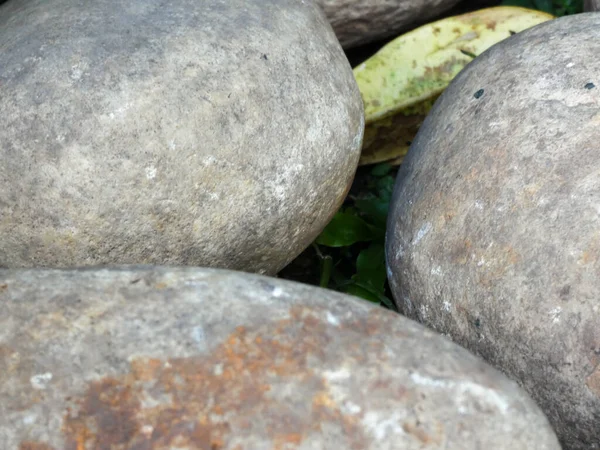 Three Rocks Ground Soil Leaves Seen Close — Stock Photo, Image