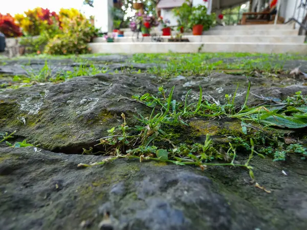 Ground Made Stones Blades Grass Sticking Out Front Country House — Stock Photo, Image