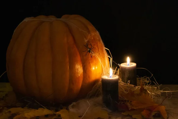 Fotka Hořících Svíček Studiu Dýně Pavouky Pavučinami Černém Pozadí Halloween — Stock fotografie