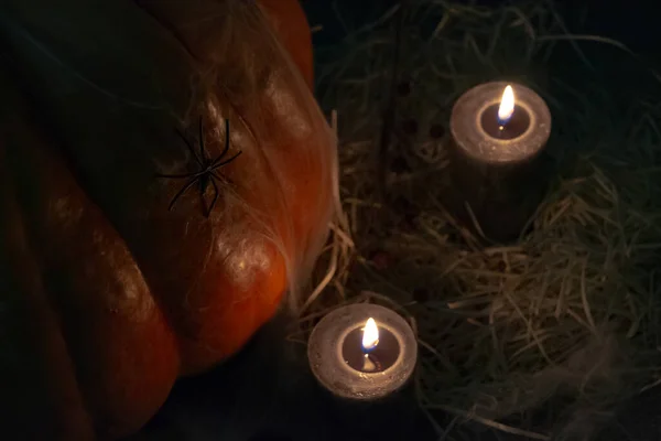 촛불을 태우는 스튜디오 배경에는 거미와 거미줄이 있습니다 할로윈 로열티 프리 스톡 사진