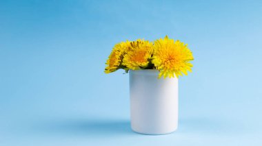 Ukrayna için dua et. Mavi arka planda sarı çiçekler. Karahindiba. Asgari kavramsal fikir. Ukrayna bayrağının renkleri. Metin için boşluk