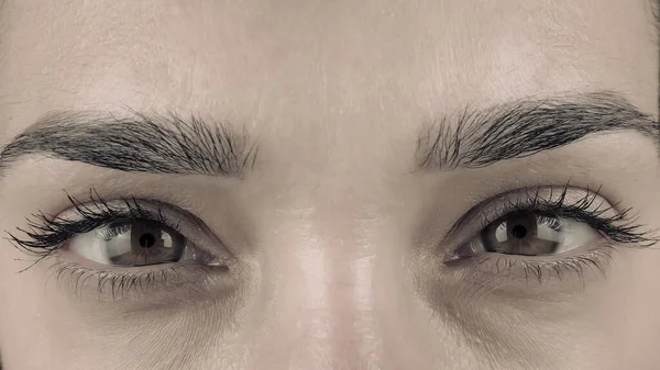 Güzel Kadın Gözleri Çok Yakın Siyah Beyaz Etkileyici Görüş — Stok fotoğraf