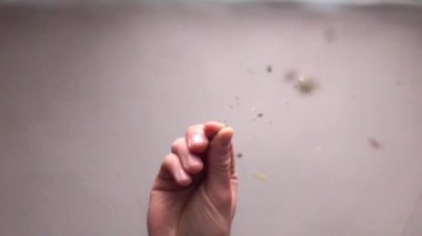 Şefin elinin yakın çekimi yemeğe baharat katıyor. Alt manzara. Yavaş çekim HD