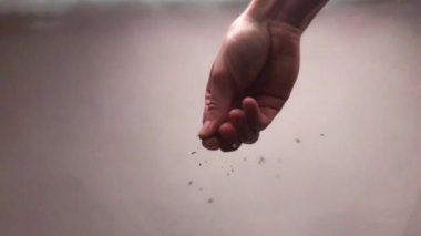 Şefin elinin yakın çekimi yemeğe baharat katıyor. Alt manzara. Yavaş çekim HD