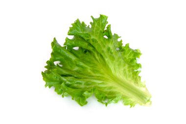 Salata yaprağı. Beyaz arkaplanda izole edilmiş marul .