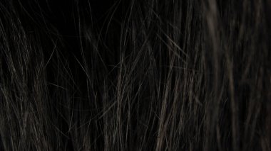 Brunette or brown hair. Female long dark hair in black. Beautifully laid curls. Closeup texture in a dark key. Hairdressing, hair care and coloring. Shading gray hair. Background with copy space.