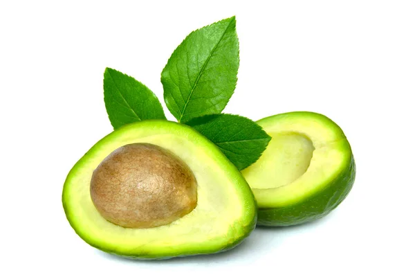 Green Avocado Leaves Isolated White Background — Zdjęcie stockowe