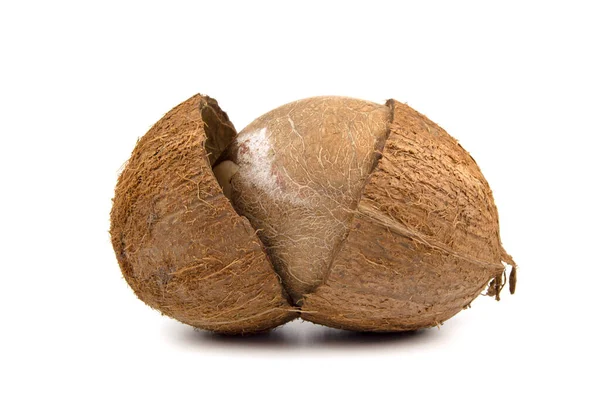 Rozszczepione Owoce Kokosowe Całymi Nasionami Wyizolowanymi Białym Tle — Zdjęcie stockowe