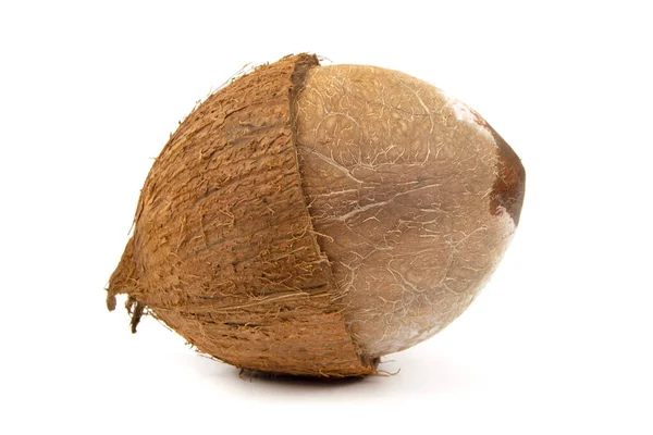 ココナッツは白い背景に隔離されており — ストック写真