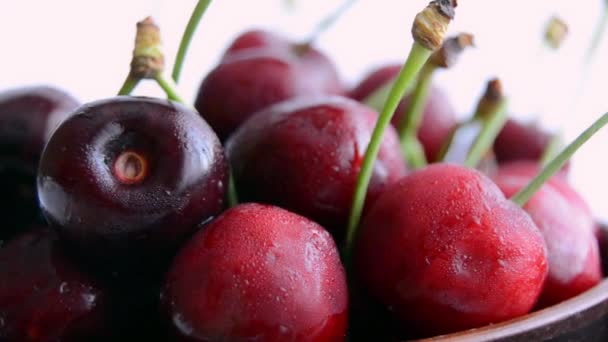 Cereza Fresca Madura Primer Plano Cerezas Húmedas Rojas Orgánicas Giradas — Vídeo de stock