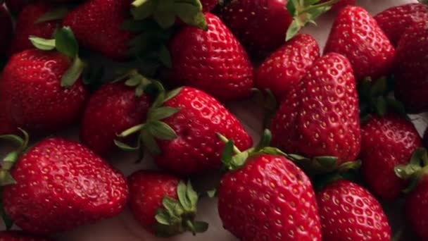 Cosecha Fresas Rojas Maduras Primer Plano Rotación Fresas Fresas Frescas — Vídeos de Stock