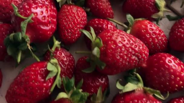 Cosecha Fresas Rojas Maduras Primer Plano Rotación Fresas Fresas Frescas — Vídeo de stock