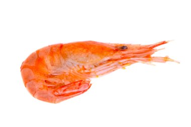 Beyaz zemin üzerinde kırmızı pişmiş karides veya karides.