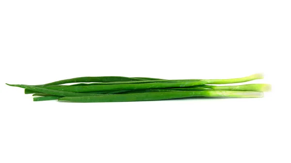 Green Spring Onion Isolated White Background — Stock Photo, Image