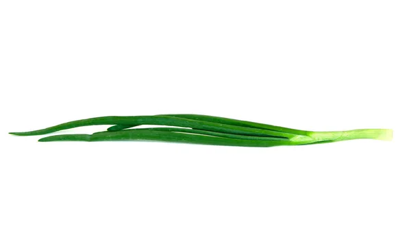 Fresh Green Onion Isolated White Background — Stock Photo, Image