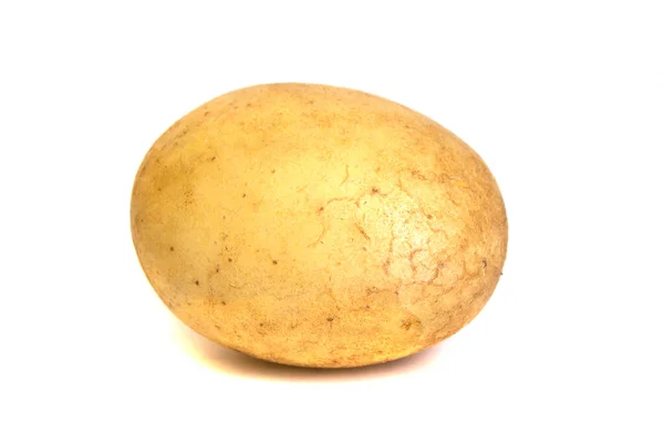 Junge Kartoffel Isoliert Auf Weißem Hintergrund — Stockfoto