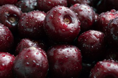 Taze vişne meyvelerini su damlalarıyla kapatın..