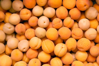 Olgun kayısılar, meyve arka planı. Sağlıklı organik vejetaryen gıda konsepti