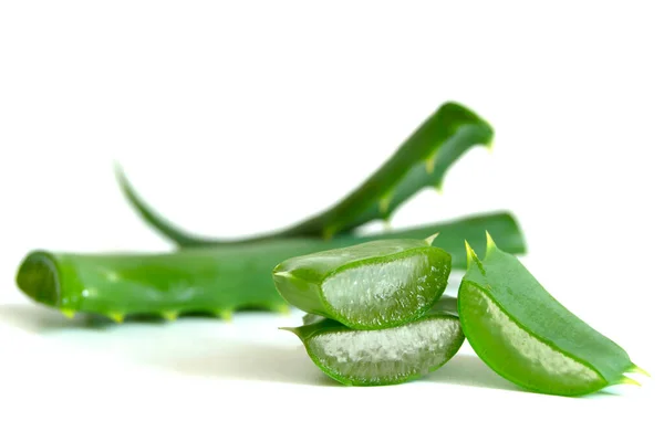 Slice Aloe Vera Aloe Barbadensis Mill Star Cactus Aloe Aloin — Fotografia de Stock