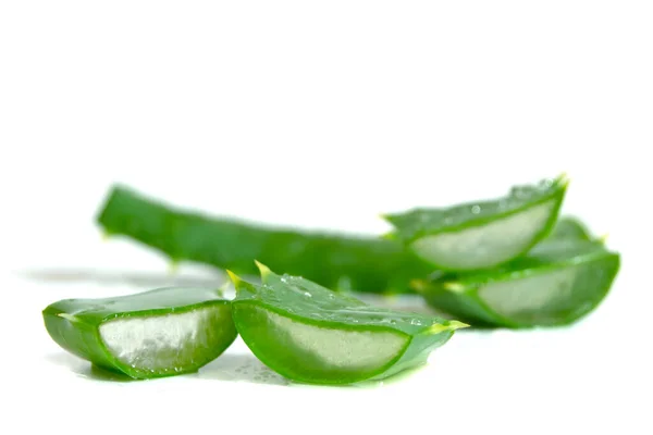 Fresh Aloe Vera Sliced Water Drops Isolated White Background — Fotografia de Stock