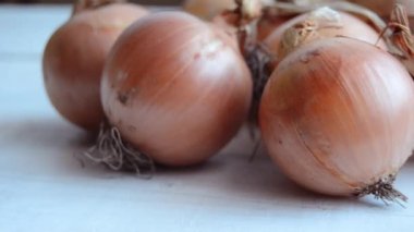 Group of onions on the white table. Close-up of ripe harvesting onion.