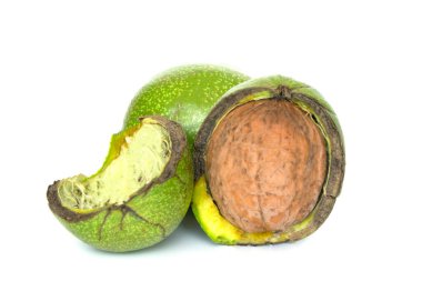 Çatlamış perikarptaki ceviz beyaz arka planda izole edilmiş. Yeşil perikarpta bir yığın ceviz.
