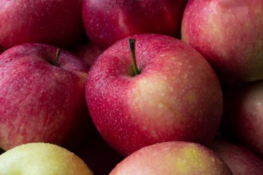 Su damlaları ve arka planı olan kırmızı bir elma yığını. Seçici odaklanma. Doğal ışıklandırma