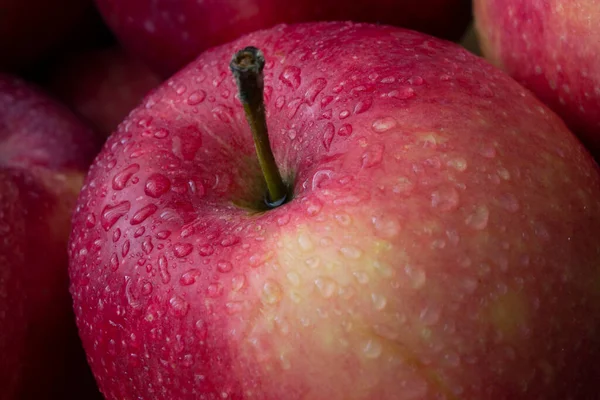 red wet organic apple with big droplet, macro shot