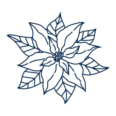 Line hand drawn poinsettia isolated, christmas flower. Vintage vector artwork. Holiday illustration for greeting card, gift, branding, boutique logo, label. Botanical design elements.