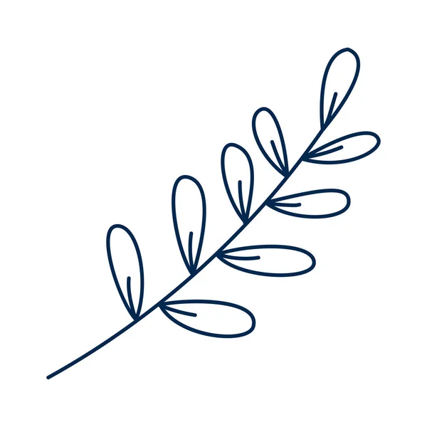 Line Art Hand Drawn Branches Leaves White Background Botanical Design — Stock Vector