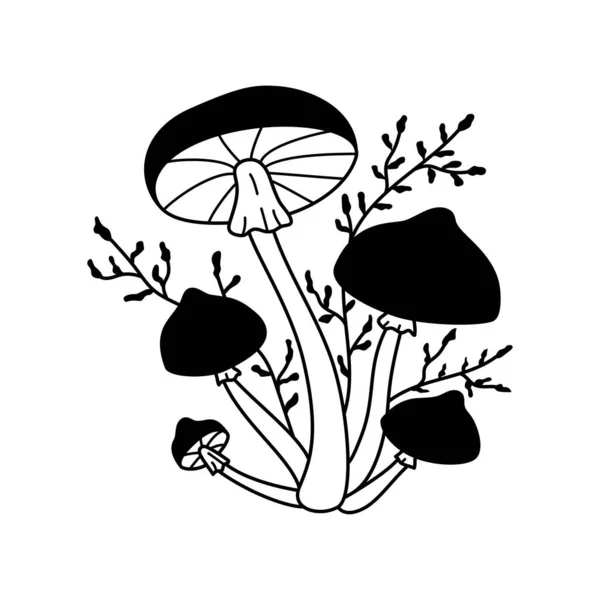 Vector Black White Wild Forest Mushrooms White Background Autumn Botanical — Vetor de Stock