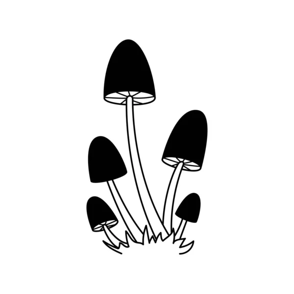 Vector Black White Wild Forest Mushrooms Grass Hand Drawn Autumn — Stock Vector