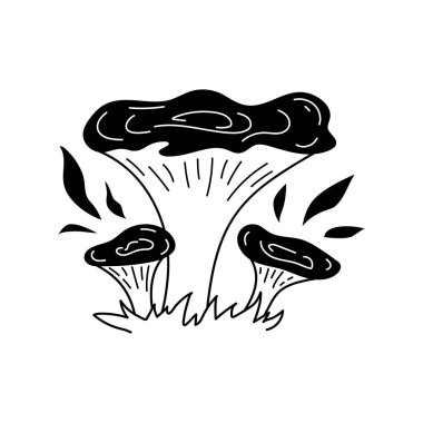 Vector black and white wild forest chanterelle mushroom on white background. Autumn botanical design element. Edible mushrooms for recipe book or menu.