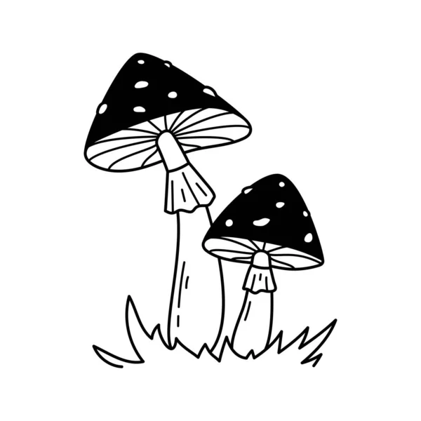 Vector Black White Wild Forest Spotted Mushrooms Grass Hand Drawn —  Vetores de Stock