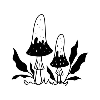 Vector black and white wild forest mushrooms on white background. Autumn botanical design element. Edible or poisonous mushrooms with twigs with leaves.